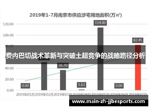 费内巴切战术革新与突破土超竞争的战略路径分析