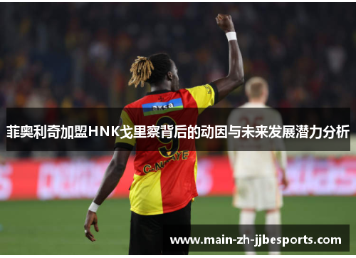 菲奥利奇加盟HNK戈里察背后的动因与未来发展潜力分析 菲奥利奇加盟HNK戈里察背后的动因与未来发展潜力分析